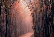 猛龙队拼下艰难胜利稳住前八位置