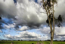 猛龙队拼下艰难胜利稳住前八位置