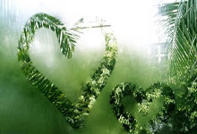 猛龙队拼下艰难胜利稳住前八位置