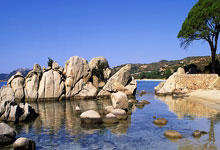 公牛队球员状态起伏难以保持连胜