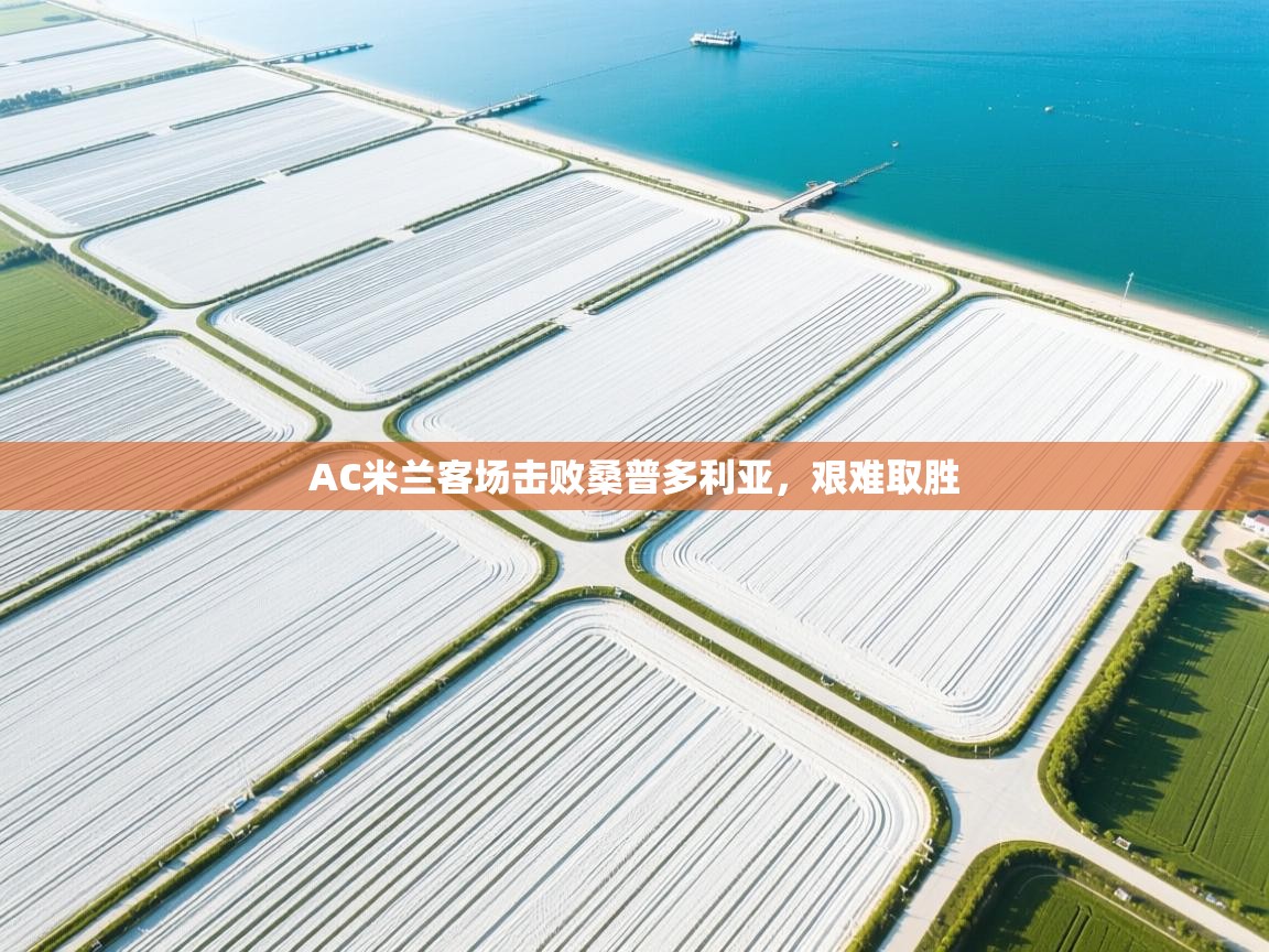 AC米兰客场击败桑普多利亚，艰难取胜  第2张