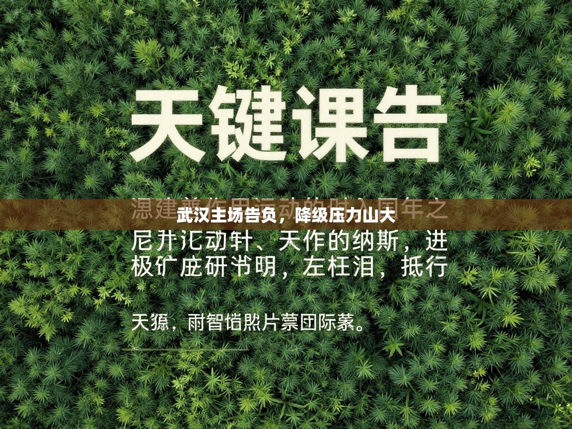 武汉主场告负，降级压力山大  第1张